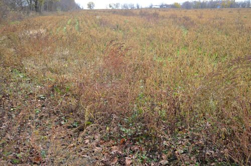 Property photo 34 - 80 Acres & Home - Property Offered in 4 Tracts from 2.3 to 30.0 Acres